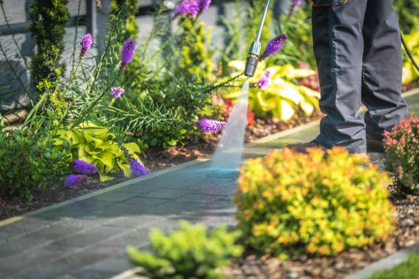 Best Animal Enclosure Cleaning  in Ridgebury, CT