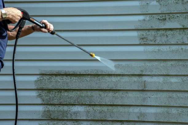 Best House Exterior Washing  in Ridgebury, CT